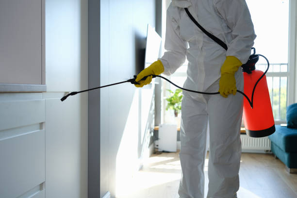 Best Residential Mold Remediation in Fenton, MI